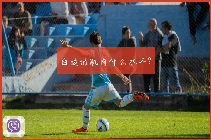 白边的肌肉什么水平？